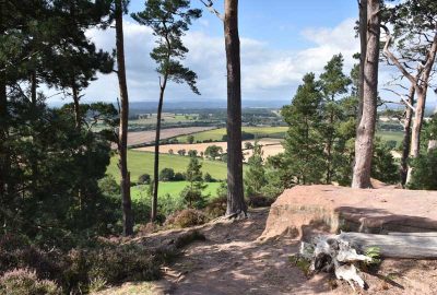 Oliver's Point Nesscliffe