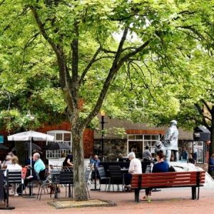 Festival Square cafe culture