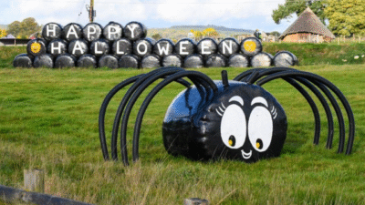 spider sculpture
