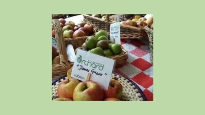 selection of locally grown apples